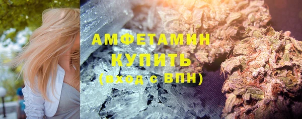 гидра Алексеевка