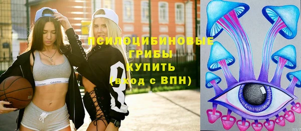 гидра Алексеевка