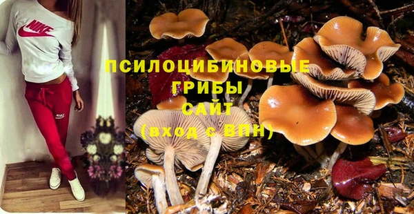 мяу мяу мука Алзамай